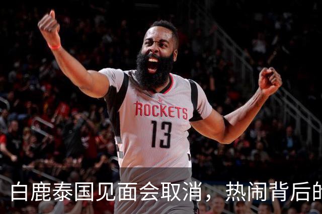 白鹿泰国见面会取消，热闹背后的那些事儿