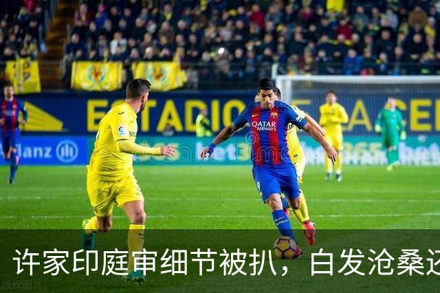 许家印庭审细节被扒，白发沧桑还悄悄发福，再落魄也不值得同情